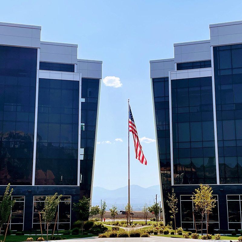 LD Bowerman Investment Group